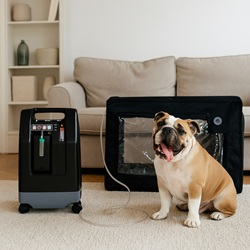 Pet Oxygen Machine Ideal for Dog Cats in Houston TX by Dalton Medical Pet Oxygen Machine Ideal for Dog Cats in Houston TX by Dalton Medical